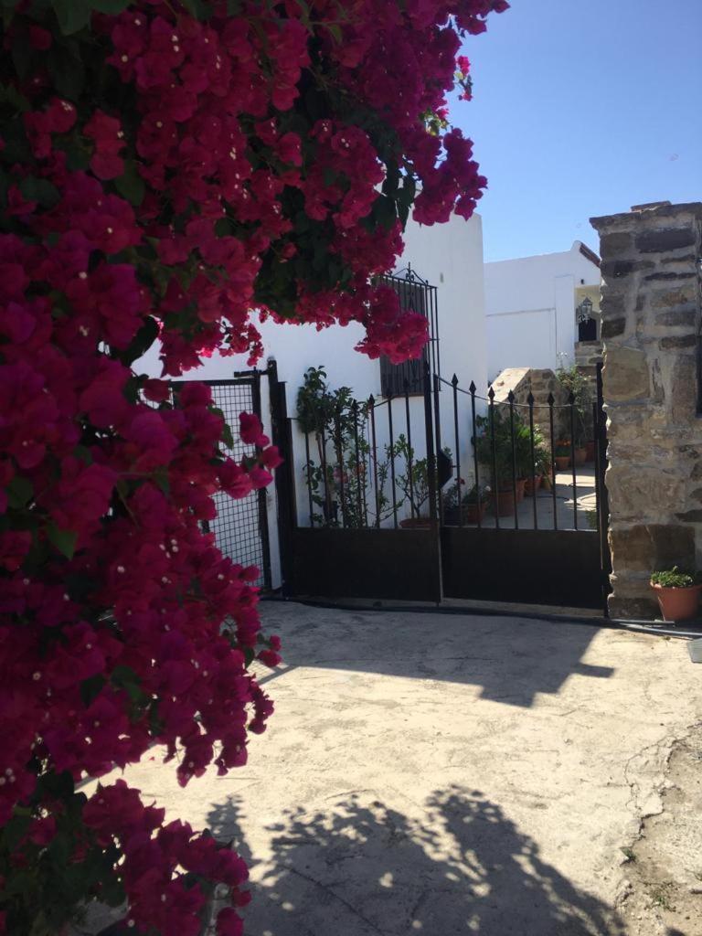 Apartamento Las Adelfas Tarifa Exterior photo